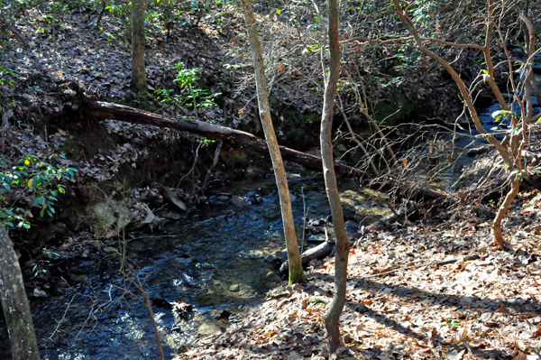 stream at Crowders Mountain